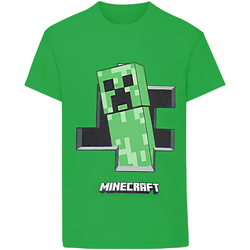 Vêtements Garçon T-shirts manches longues Minecraft Inside Vert
