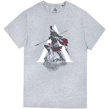 Vêtements Homme T-shirts manches longues Assassins Creed Odyssey NS5699 Gris