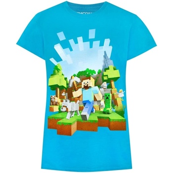 Vêtements Fille T-shirts manches longues Minecraft  Bleu