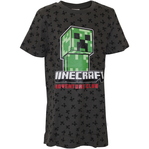 Vêtements Garçon T-shirts manches longues Minecraft NS6001 Gris