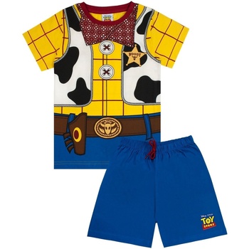 Vêtements Garçon Pyjamas / Chemises de nuit Toy Story  Multicolore