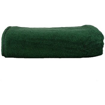 Maison & Déco Serviettes et gants de toilette A&r Towels RW6536 Vert