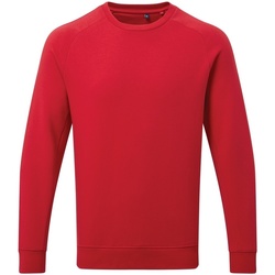 Vêtements Homme Sweats Asquith & Fox AQ078 Rouge
