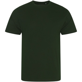 Vêtements Enfant T-shirts manches courtes Ecologie Cascade Vert