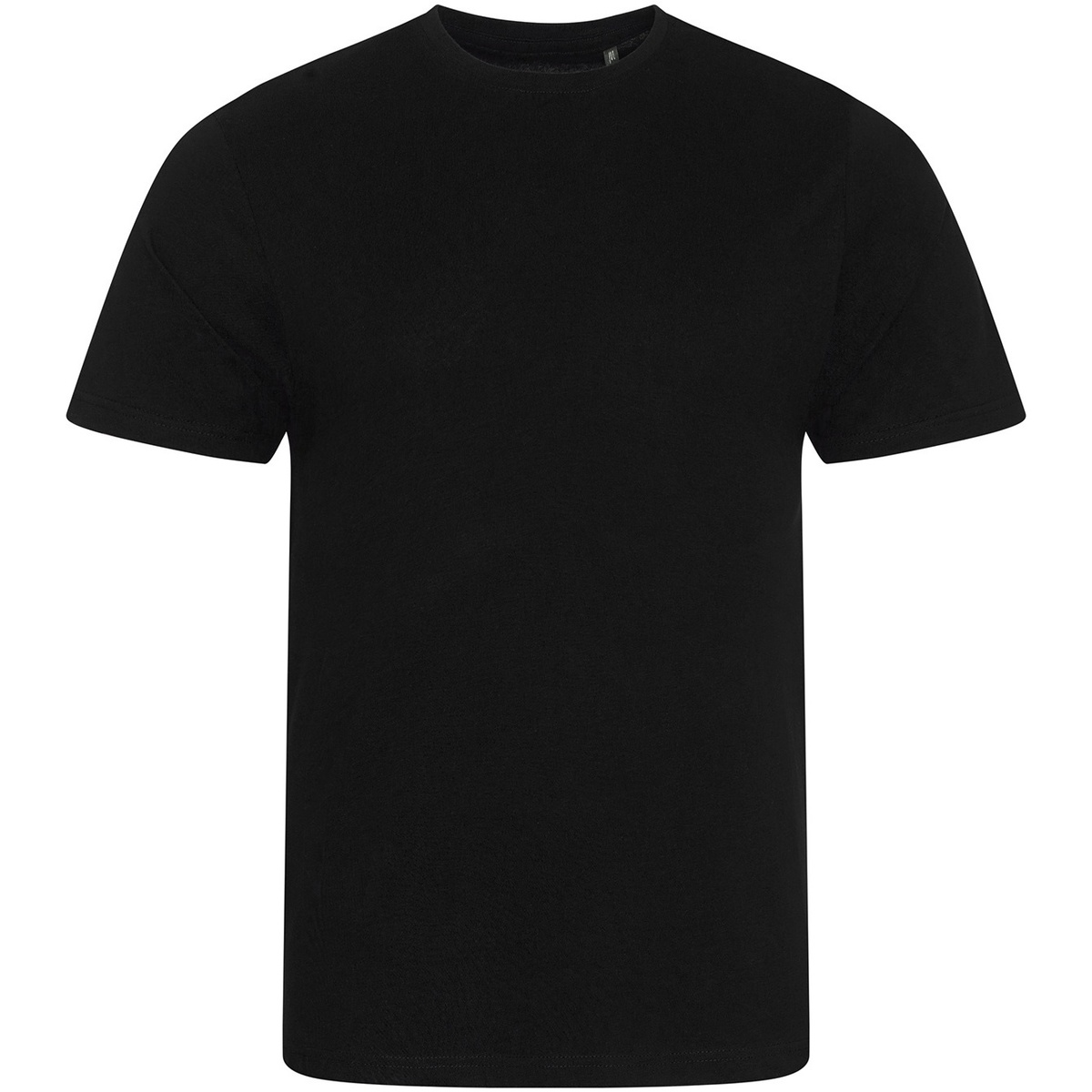 Vêtements Enfant T-shirts manches courtes Ecologie Cascade Noir
