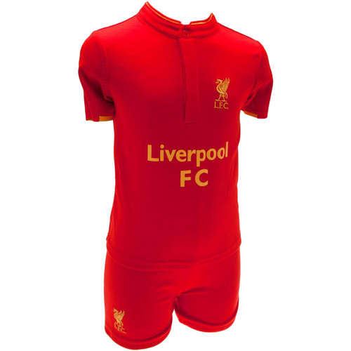 Vêtements Enfant T-shirts manches courtes Liverpool Fc TA2354 Rouge