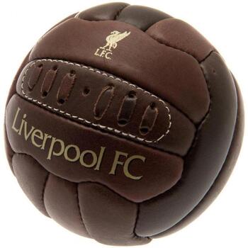 Accessoires Ballons de sport Liverpool Fc  Multicolore