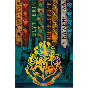 Maison & Déco Affiches / posters Harry Potter TA359 Multicolore