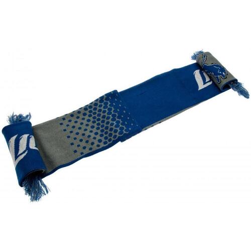 Accessoires textile Echarpes / Etoles / Foulards Detroit Lions FD Bleu
