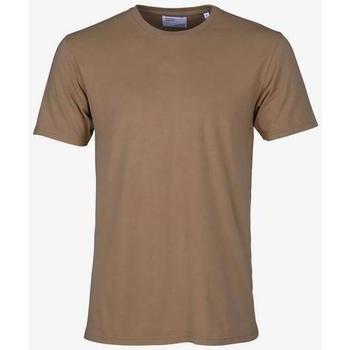Vêtements T-shirts manches courtes Colorful Standard T-shirt  Sahara Camel marron