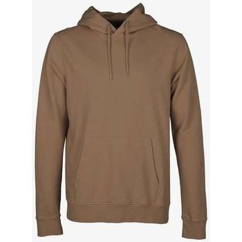 Vêtements Sweats Colorful Standard Sweatshirt à capuche  Sahara Camel marron clair