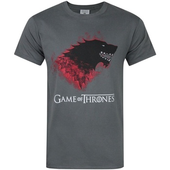 Vêtements Homme T-shirts manches longues T-shirt met logodetail in paars Bloody Direwolf Gris