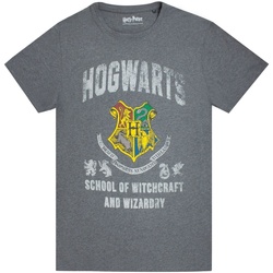 Vêtements Homme T-shirts manches longues Harry Potter NS5732 Gris