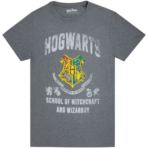 Vêtements Homme T-shirts manches courtes Harry Potter  Gris