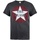 Vêtements Homme T-shirts manches longues Amplified Star Logo Gris