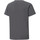 Vêtements Enfant T-shirts manches courtes Puma T-shirt Rise Jersey Gris