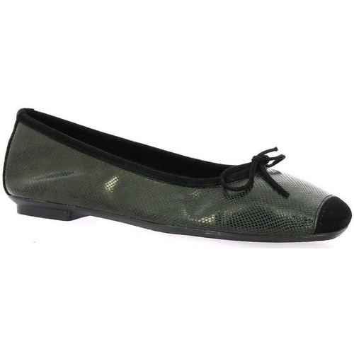 Reqin's Ballerines cuir Noir - Chaussures Ballerines Femme 79,00 €