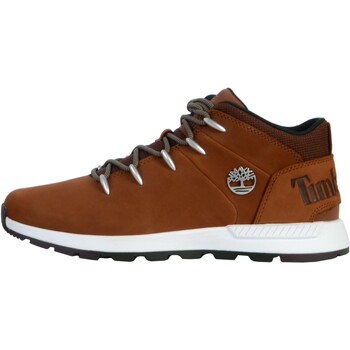 Chaussures Homme Baskets montantes Timberland 173917 Marron