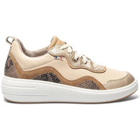 Chaussures Femme Baskets basses TBS NIGELLY BEIGE FONCE