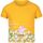 Vêtements Enfant T-shirts manches courtes Regatta RG5945 Multicolore