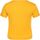 Vêtements Enfant T-shirts manches courtes Regatta RG5945 Multicolore