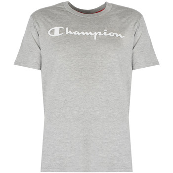 Vêtements Homme T-shirts manches courtes Champion 212687 Gris