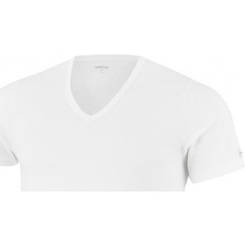 Vêtements Homme T-shirts & Polos Impetus T-shirt Col V Homme THERMO Blanc