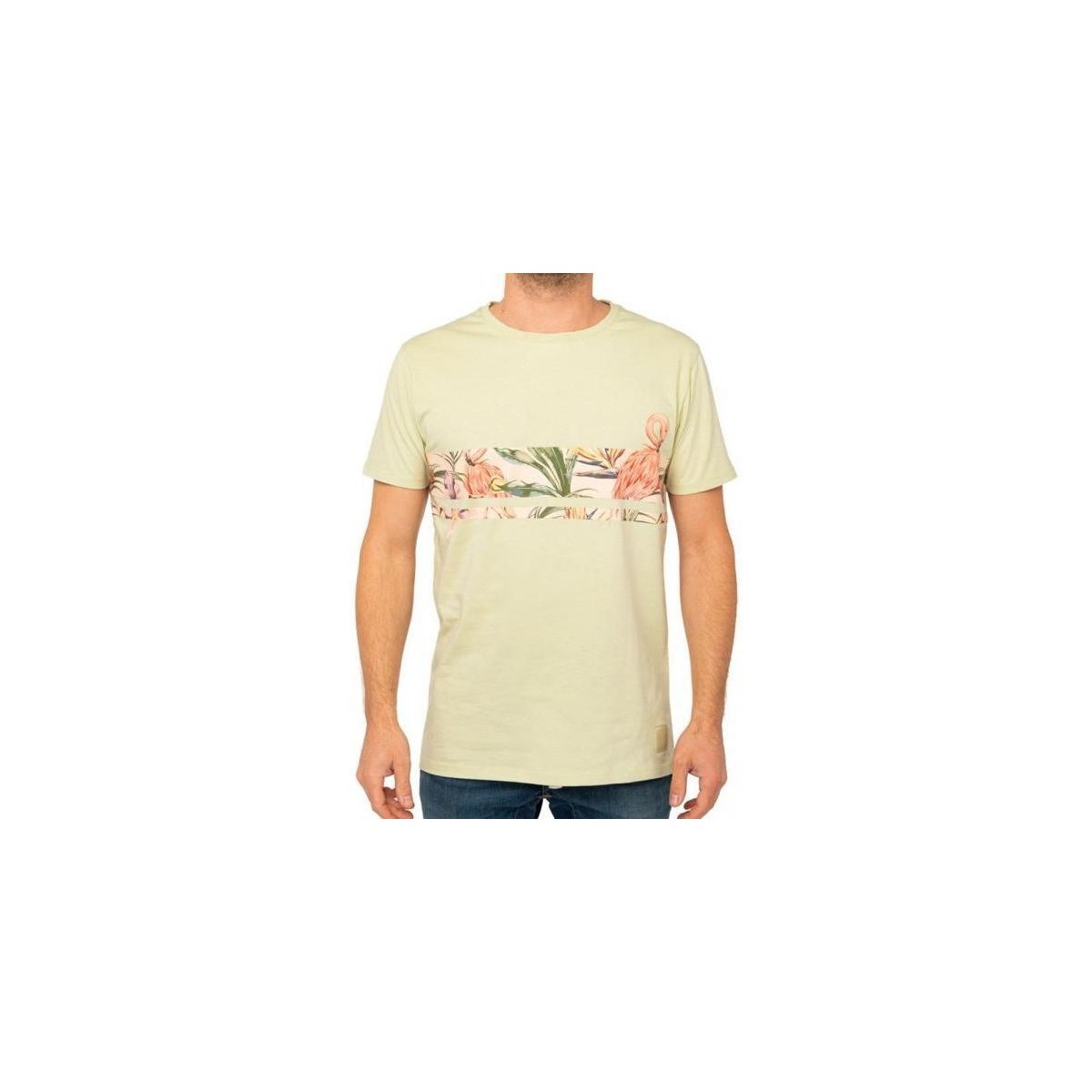 Vêtements Homme T-shirts & Polos Pullin T-shirt Col rond Homme LINEFLAMINGO Vert