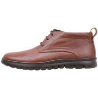 Chaussures Homme Bottes Cossimo 2204 Marron
