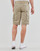 Vêtements Homme Shorts them / Bermudas Teddy Smith SYTRO 3 Beige
