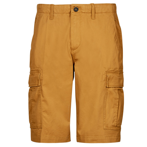 Vêtements Homme Shorts / Bermudas Hooded Timberland OUTDOOR HERITAGE RELAXED CARGO Beige