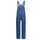 Vêtements Femme Combinaisons / Salopettes Tommy tjw Jeans DENIM DNGR CE611 Bleu