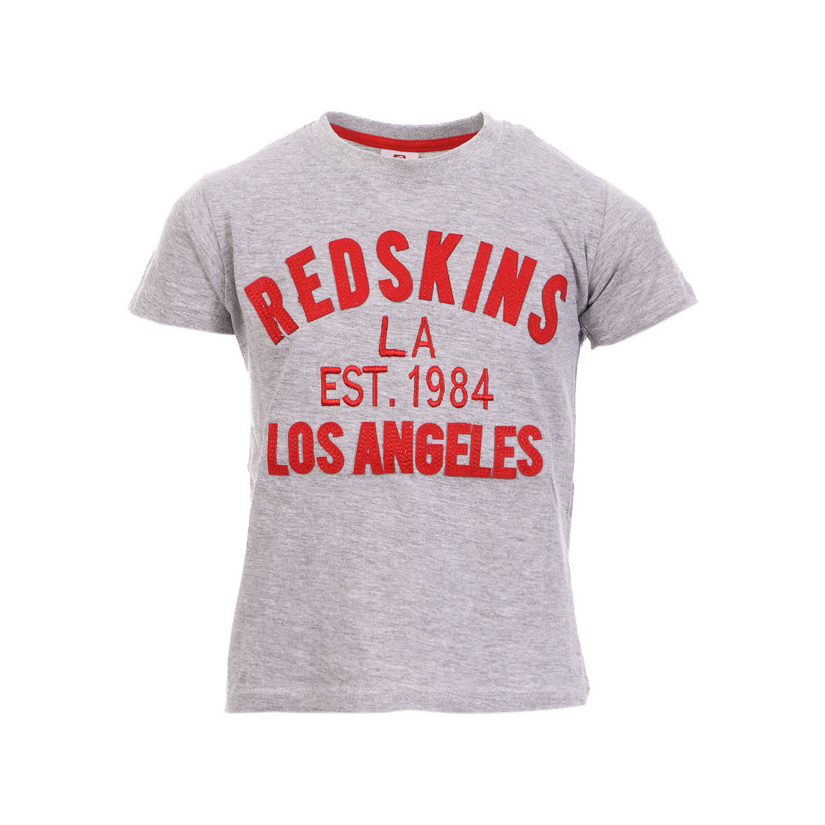 Vêtements Enfant T-shirts manches courtes Redskins RDS-3031-JR Gris