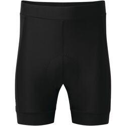 Vêtements Homme Maillots / Shorts de bain Dare 2b Ecliptic II Noir