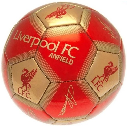 Accessoires Ballons de sport Liverpool Fc  Rouge