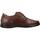 Chaussures Homme Derbies & Richelieu Pitillos 4521P Marron