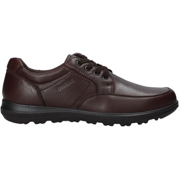 Chaussures Homme Derbies Enval 8210111 Marron