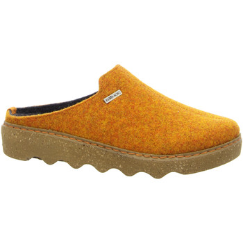 Chaussures Femme Chaussons Rohde  Orange