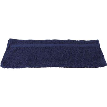 Maison & Déco Serviettes et gants de toilette Towel City RW1575 Bleu