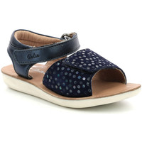Chaussures Fille Sandales et Nu-pieds Aster Theania MARINE