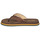 Chaussures Homme Tongs Rip Curl SHRED BACK Marron