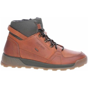 Chaussures Homme stiletto Boots Josef Seibel 32353MA262241 Marron