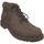 Chaussures Homme Boots Timberland Larchmont chukka Marron