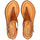 Chaussures Femme Sandales et Nu-pieds Pikolinos ALGAR W0X Marron