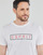 Vêtements Homme T-shirts manches courtes Esprit BCI N cn aw ss Blanc