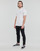 Vêtements Homme T-shirts manches courtes Vans OFF THE WALL CLASSIC SS Blanc