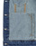 Vêtements Femme Vestes en jean Desigual CHAQ_OLIMPIA office-accessories usb mats lighters shoe-care Shorts