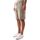 Vêtements Homme Shorts Howard a stampa in cotone 87345 0000 SMART CARGO-TAUPE SAND Beige