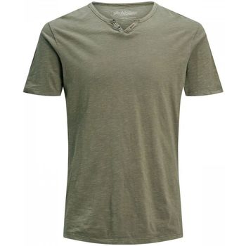 Vêtements Homme T-shirts manches courtes Jack & Jones 12164972 SPLIT-DUSKY GREEN Vert