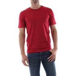 Vêtements Homme T-shirts & Polos Selected 16057141 THEPERFECT-RIO RED Rouge